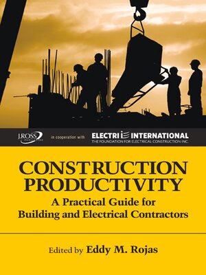 cover image of Construction Productivity